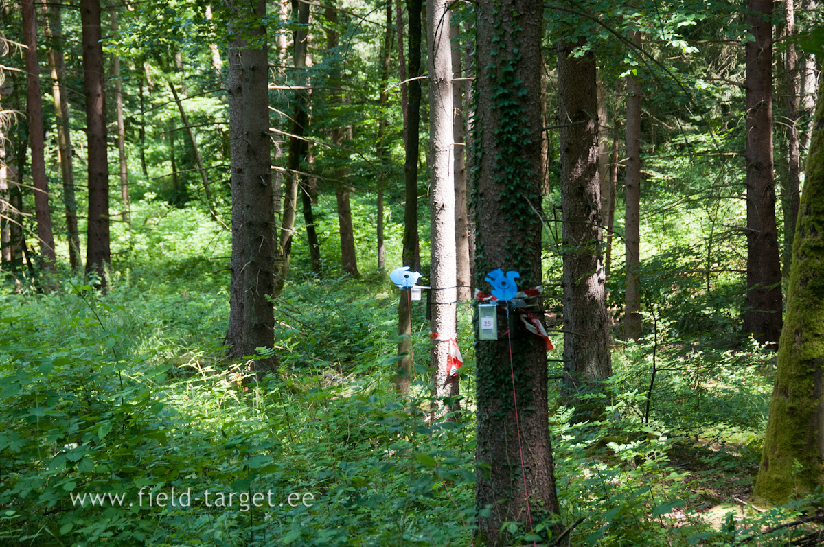 First Day - two Targets Standing. Second Day - same Targets Sitting
